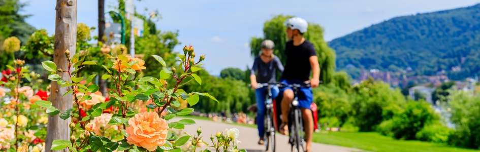 K r selv ferie Med Cykelture I Europa FDM Travel